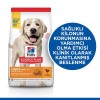 Hills Light Büyük Irk Tavuklu Diyet Köpek Maması 14 Kg