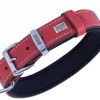 Doggie Comfort Deri Kemik Süslü Köpek Boyun Tasması Medium Kırmızı 3x42-50 Cm