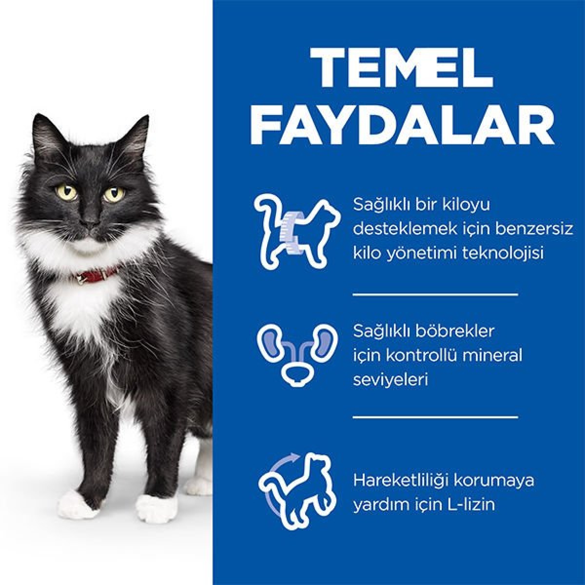 Hills Mature Sterilised Tavuklu Kısırlaştırılmış Yaşlı Kedi Maması 1.5 Kg