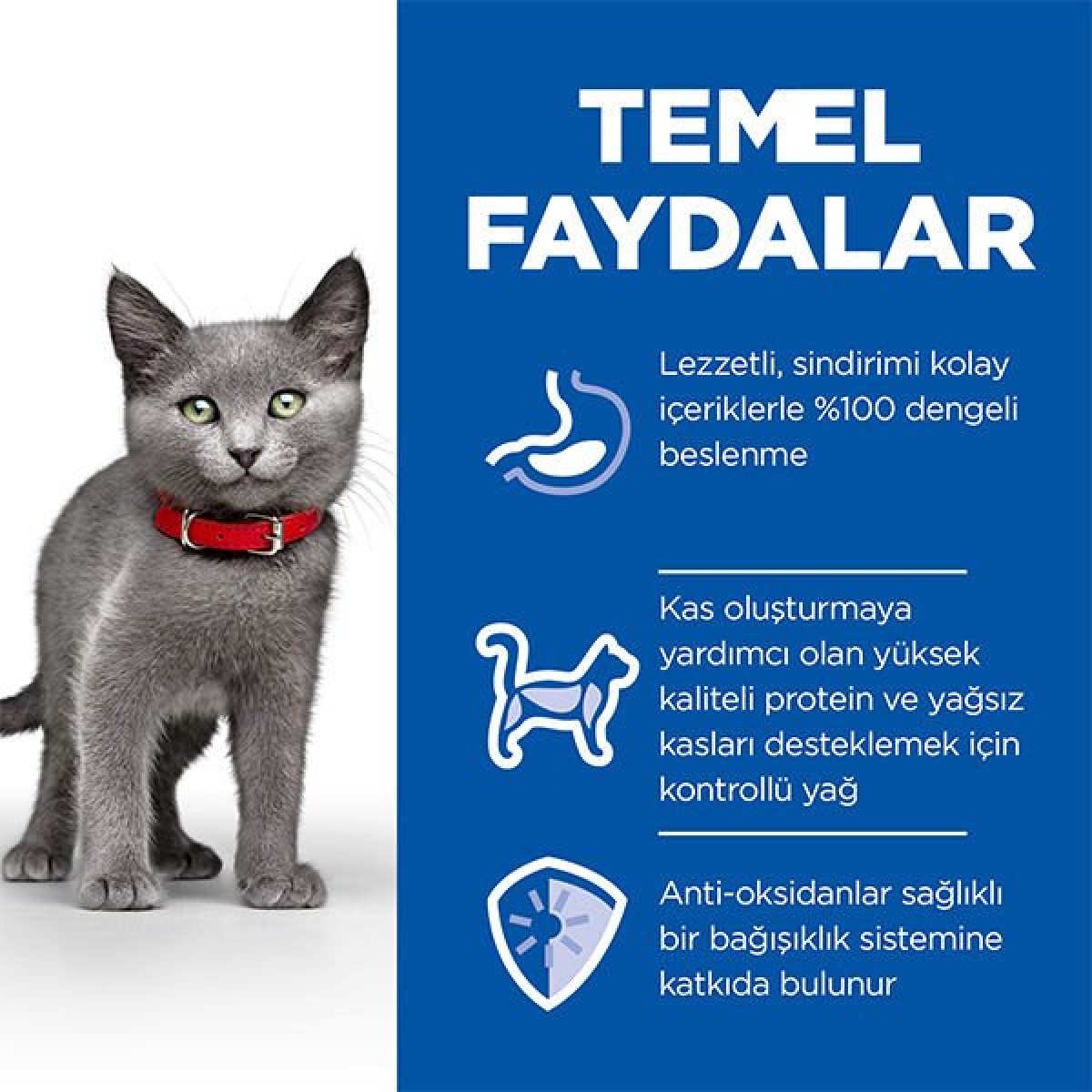 Hills Sterilised Kitten Tavuklu Kısırlaştırılmış Yavru Kedi Maması 10 Kg