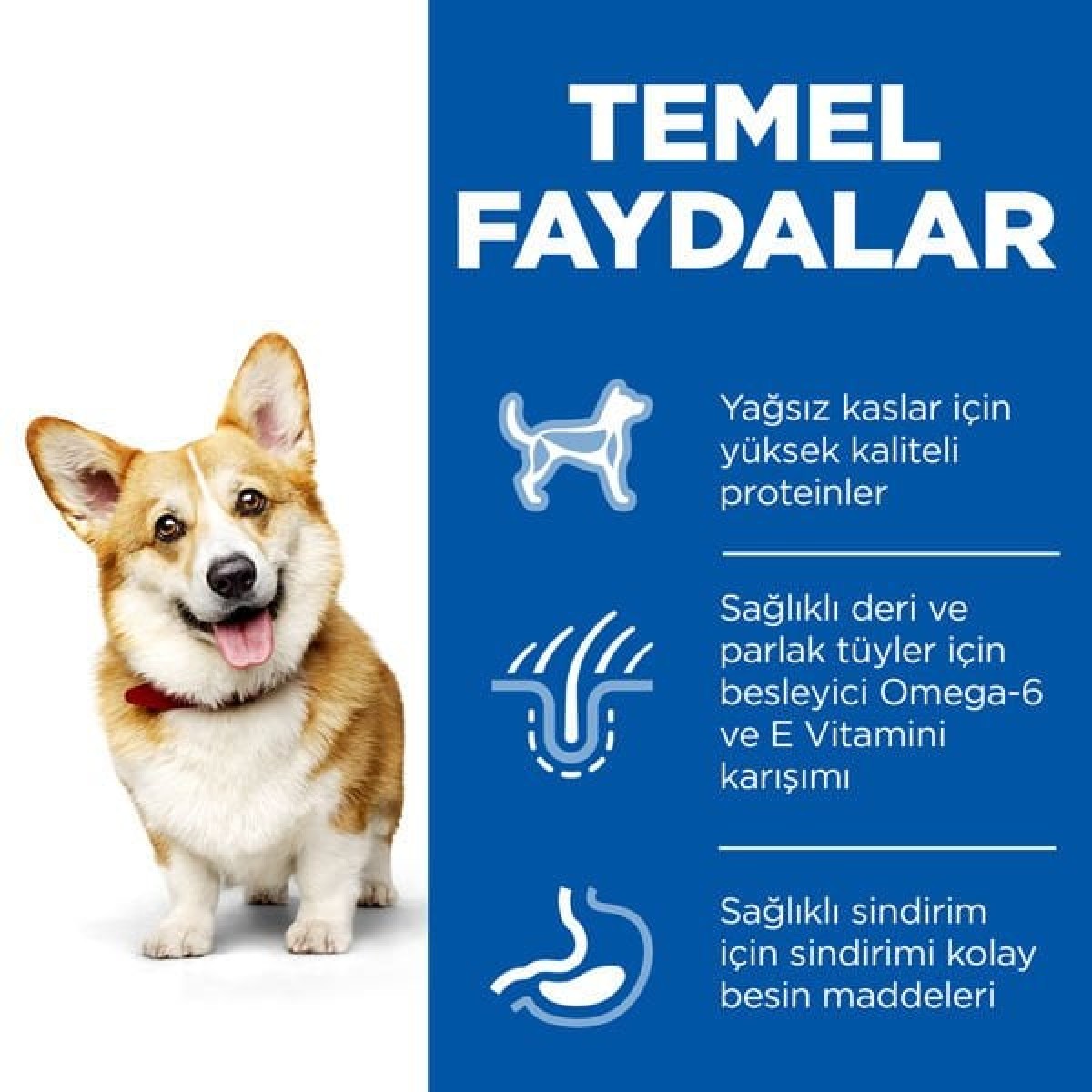 Hills Small & Mini Adult Tavuklu Köpek Maması 6 Kg