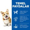 Hills Adult Small Miniature Tavuklu Küçük Irk Köpek Maması 1.5 Kg
