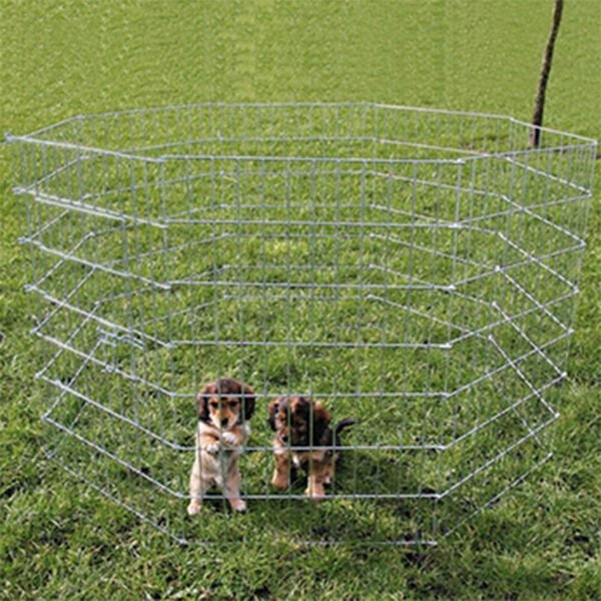 Trixie Yavru ve Küçük Köpek Açık Hava Oyun Alanı