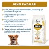 Brit Fresh Tavuk ve Patatesli Yetişkin Köpek Maması 12 Kg