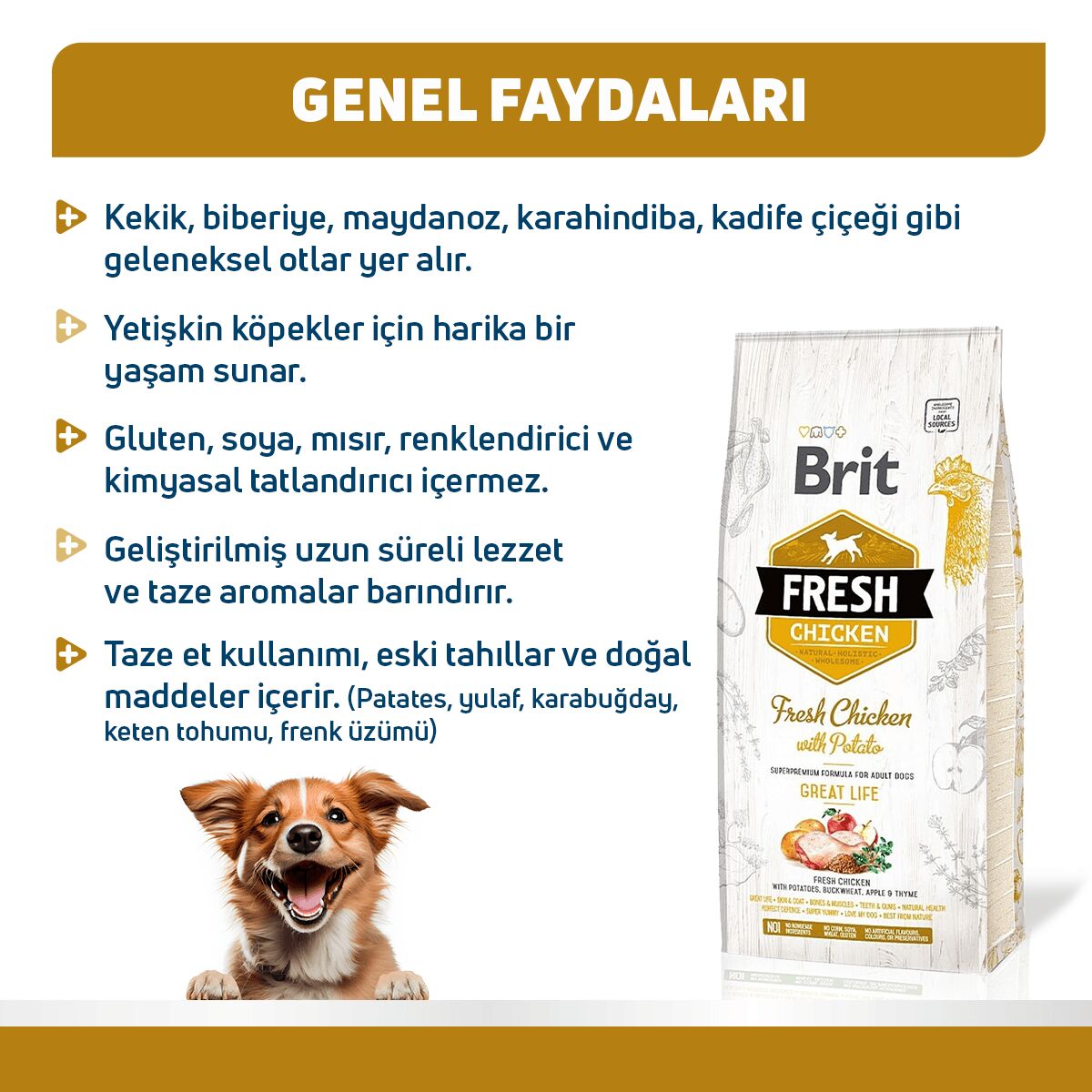 Brit Fresh Tavuk ve Patatesli Yetişkin Köpek Maması 12 Kg