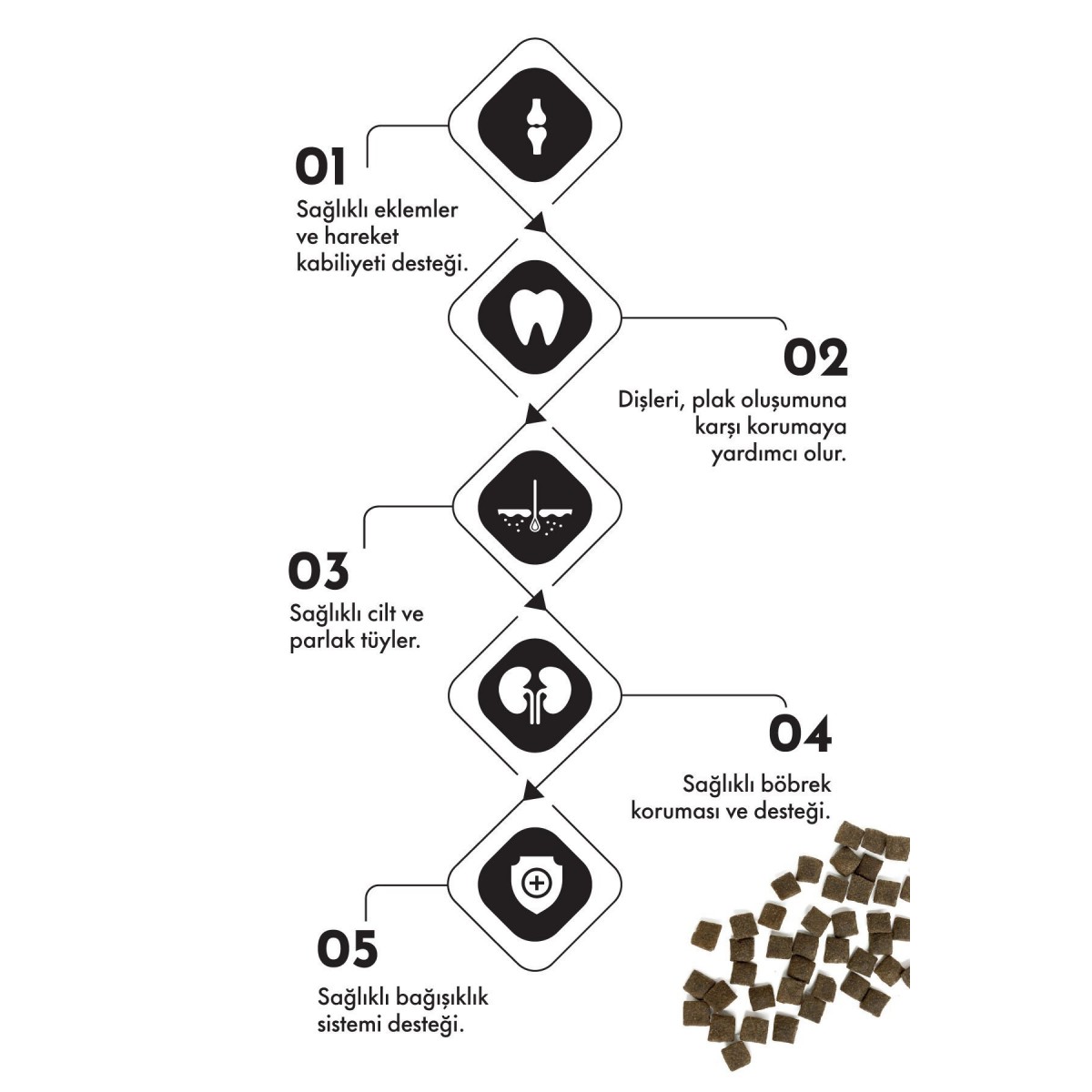 Pro Performance Kuzu Etli ve Yaban Mersinli Orta ve Büyük Irk Yetişkin Köpek Maması 12 Kg
