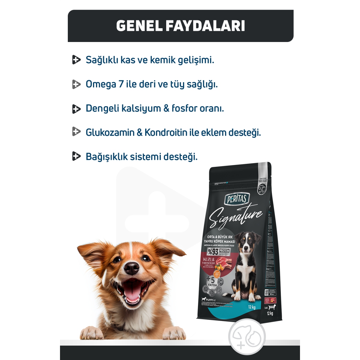 Signature Kuzulu Orta ve Büyük Irk Yavru Köpek Maması 12 Kg