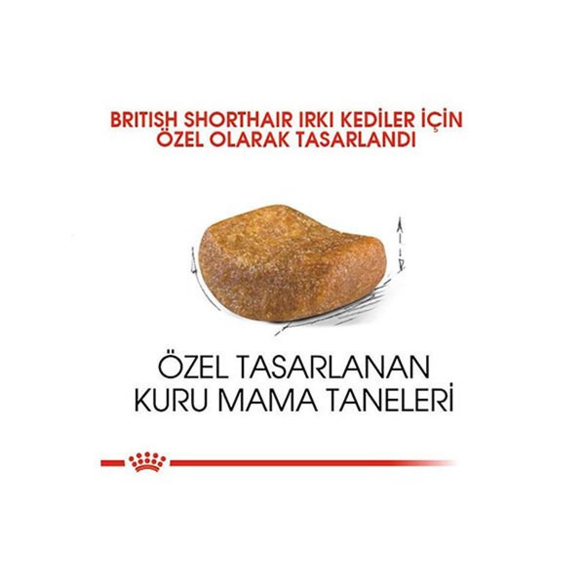Royal Canin British Shorthair Adult Yetişkin Kedi Maması 400 Gr