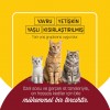 PetzzCats Tavuk & Kalamar Konserve Kedi Maması 1 Adet 70 Gr