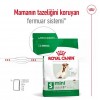 Royal Canin Mini Adult 8+ Küçük Irk Yaşlı Köpek Maması 2 Kg