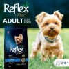 Reflex Plus Adult Somonlu Küçük Irk Yetişkin Köpek Maması 3 Kg
