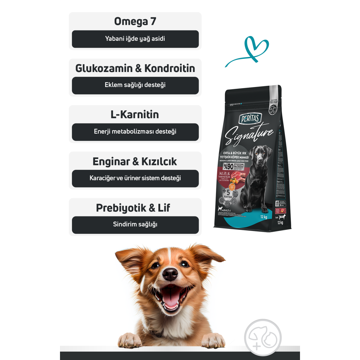 Signature Kuzulu Orta ve Büyük Irk Yetişkin Köpek Maması 12 Kg