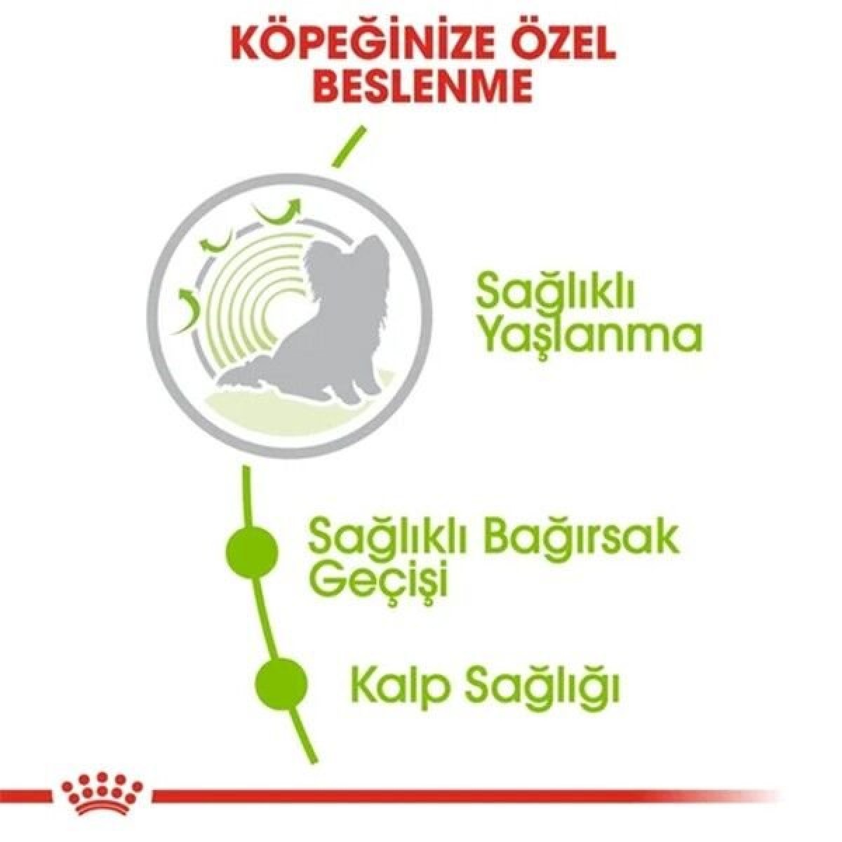 Royal Canin Xsmall Ageing +12 Yaş için Köpek Maması 1.5 Kg