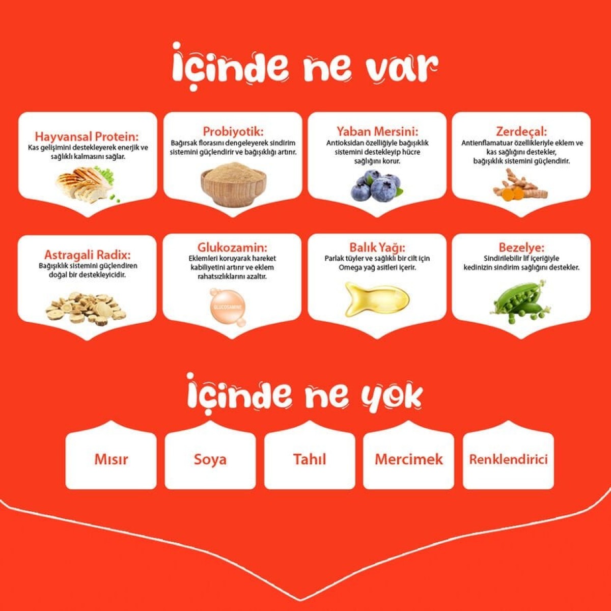 Wanpy Tavuklu Tahılsız Yetişkin Köpek Maması 1.5 Kg