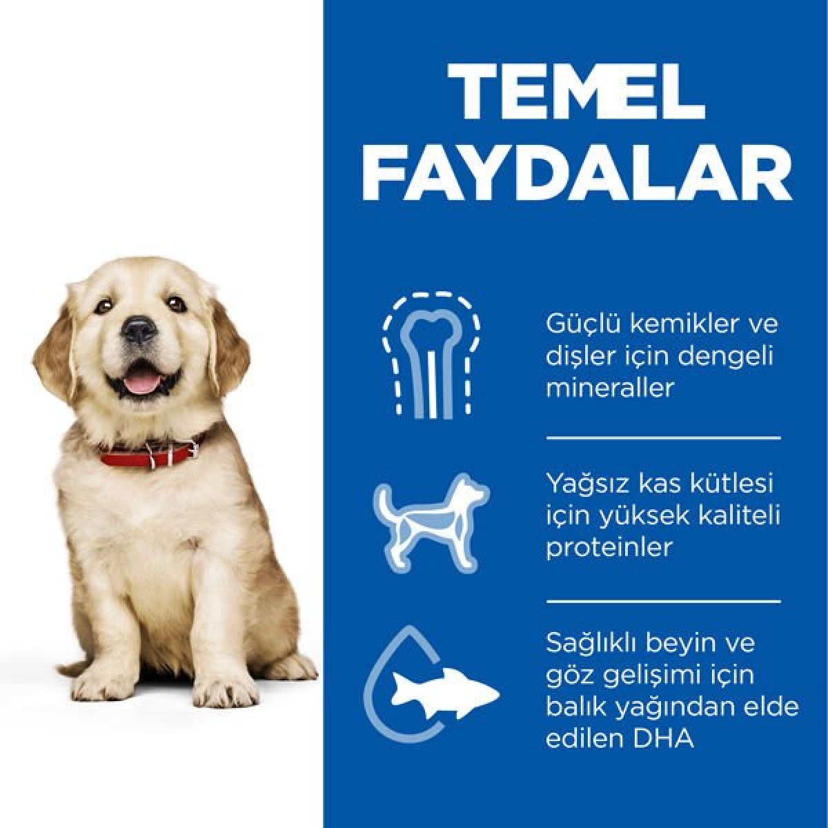 Hills Puppy Large Breed Tavuklu Büyük Irk Yavru Köpek Maması 2.5 Kg