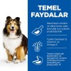 Hills Adult Sensitive Skin Hassas Köpekler İçin Tavuklu Yetişkin Köpek Maması 2.5 Kg