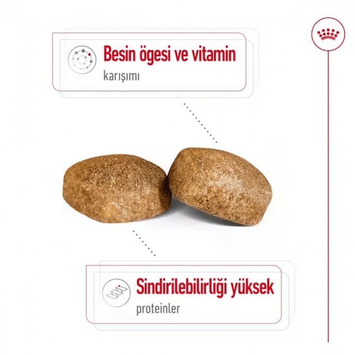 Royal Canin Giant Adult Dev Irk Yetişkin Köpek Maması 15 Kg