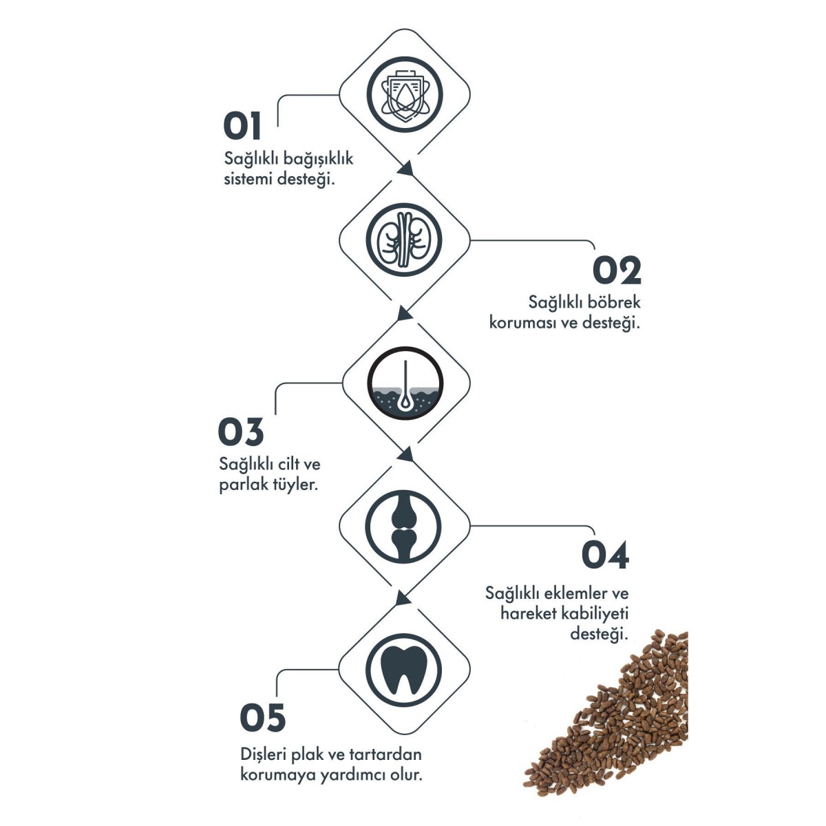 Pro Performance Kuzu Etli ve Yaban Mersinli Mini Irk Yetişkin Köpek Maması 2 Kg