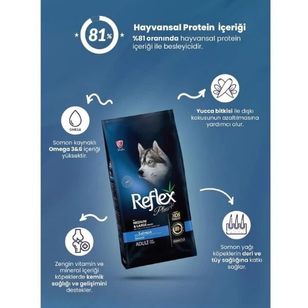 Reflex Plus Somonlu Orta ve Büyük Irk Yetişkin Köpek Maması 3 Kg