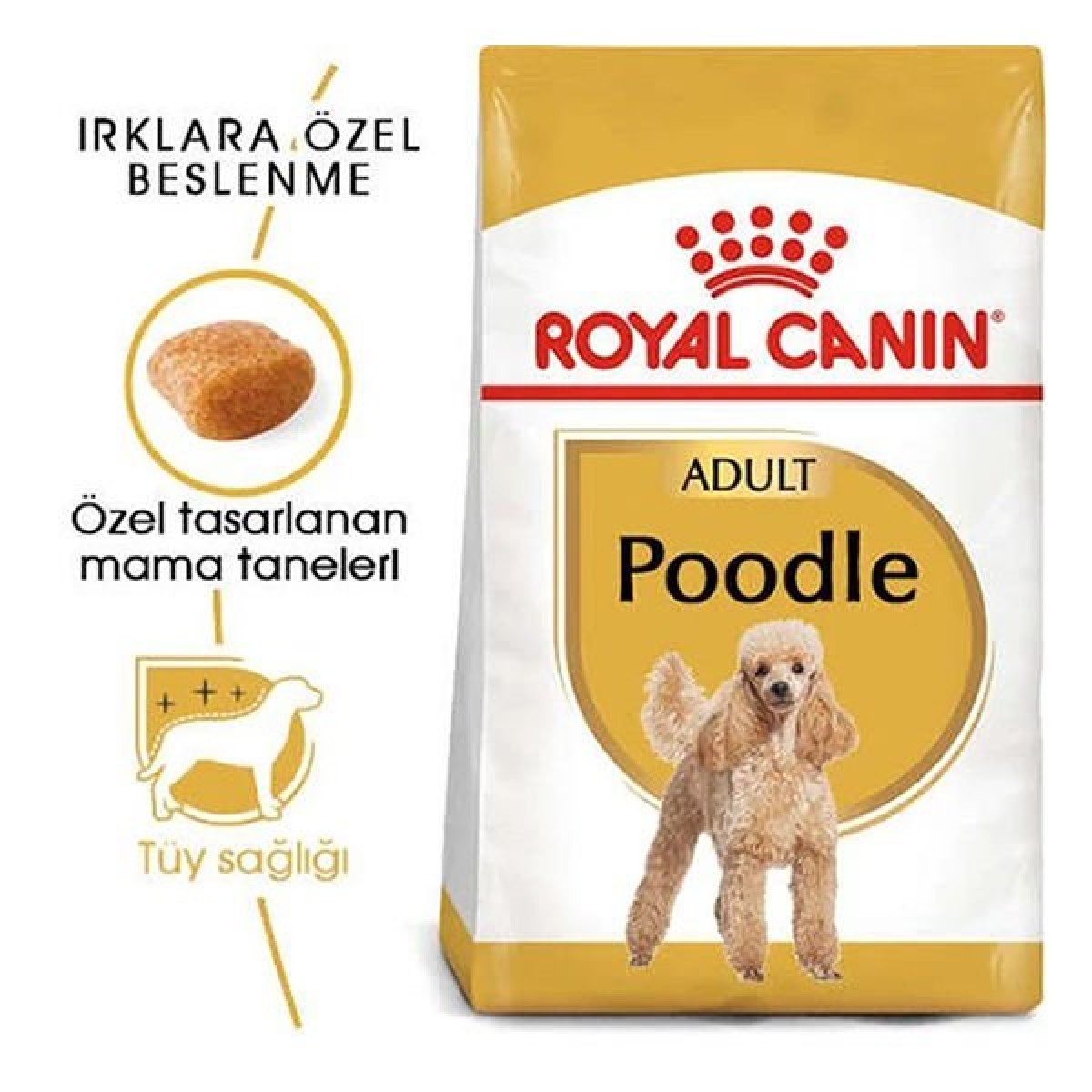 Royal Canin Poodle Adult Yetişkin Köpek Maması 3 Kg
