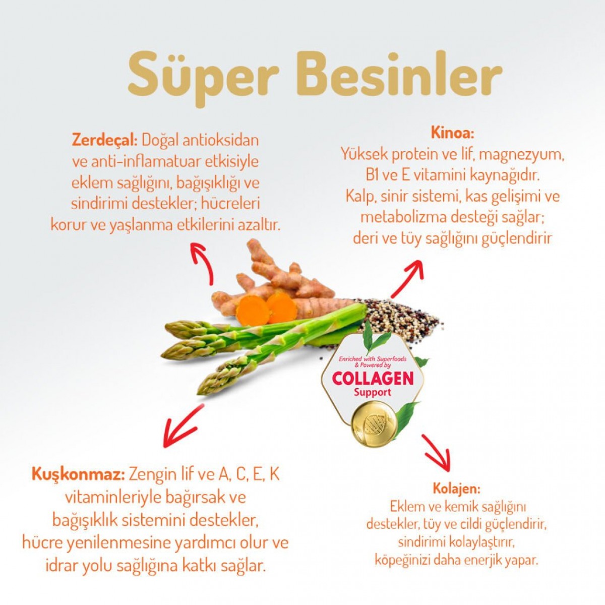 Felicia Düşük Tahıllı Hipoalerjenik Somonlu Orta ve Büyük Irk Yetişkin Köpek Maması 15 Kg