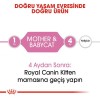 Royal Canin Mother Babycat Anne ve Yavru Kedi Maması 2 Kg
