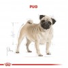 Royal Canin Pug Adult Yetişkin Köpek Maması 1.5 Kg
