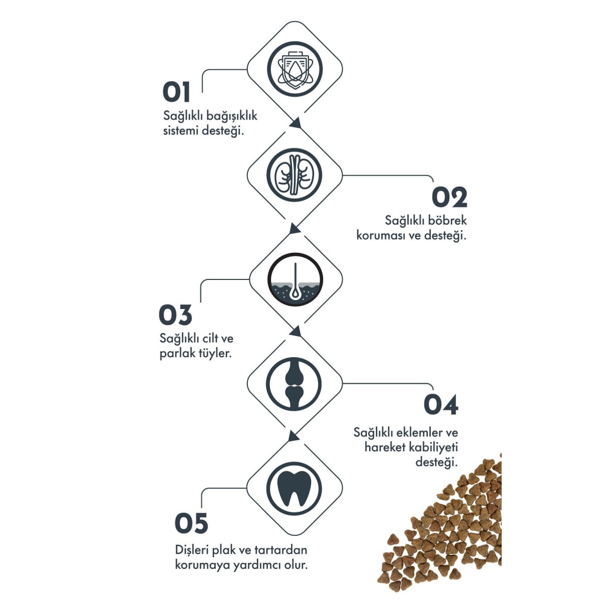 Pro Performance Kuzu Etli ve Yaban Mersinli Hipolaerjenik Küçük Irk Kısırlaştırılmış Köpek Maması 7 Kg