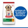 Hills Puppy Large Breed Tavuklu Büyük Irk Yavru Köpek Maması 2.5 Kg