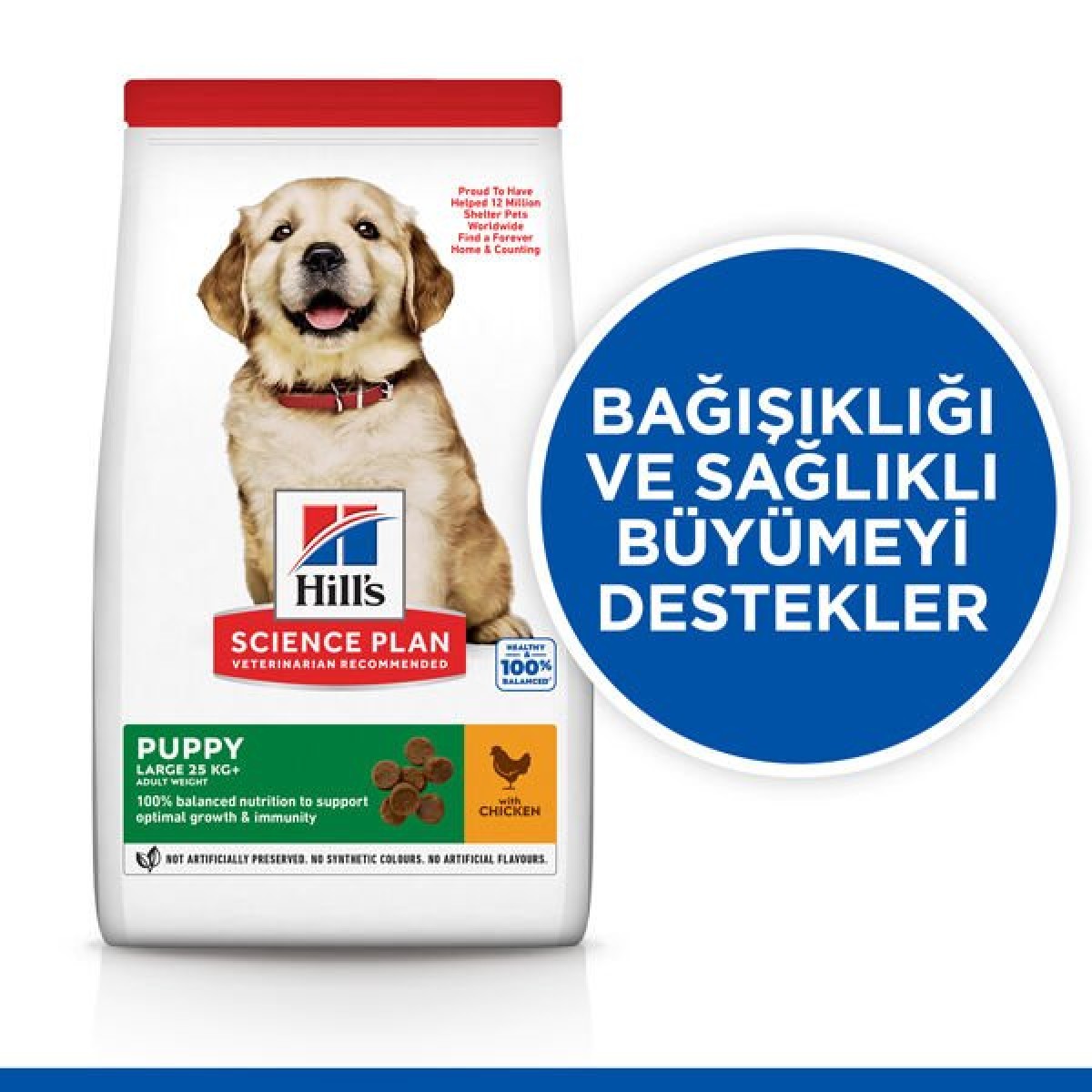 Hills Puppy Large Breed Tavuklu Büyük Irk Yavru Köpek Maması 2.5 Kg