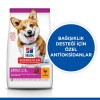 Hills Small & Mini Adult Tavuklu Köpek Maması 6 Kg