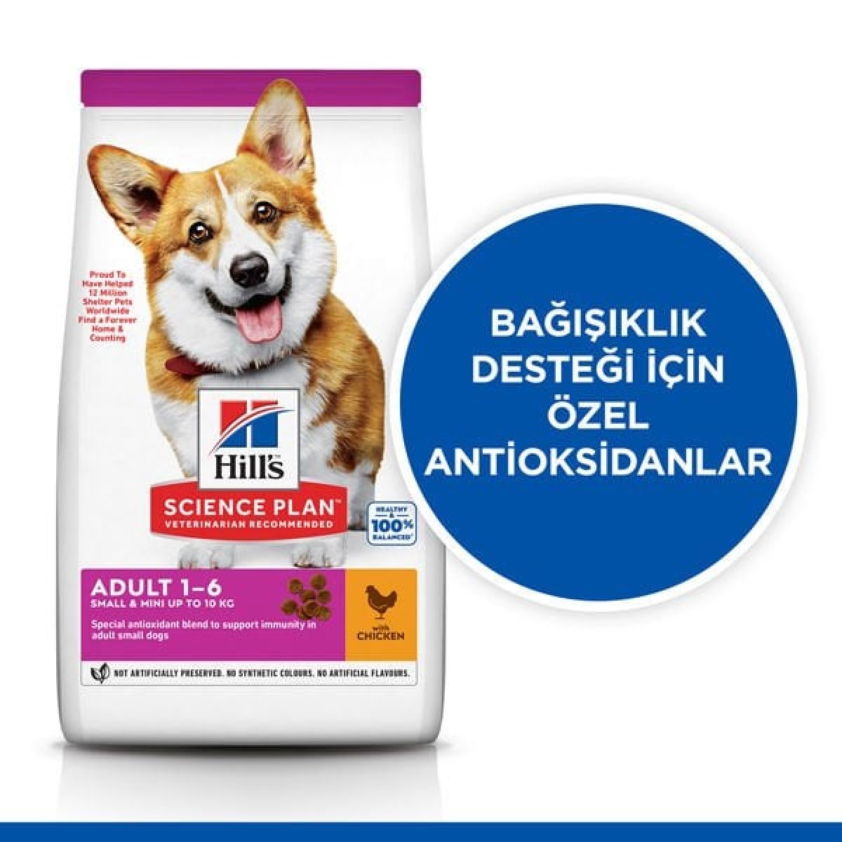 Hills Small & Mini Adult Tavuklu Köpek Maması 6 Kg