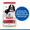 Hills Kuzu Etli Orta Irk Yetişkin Köpek Maması 2.5 Kg