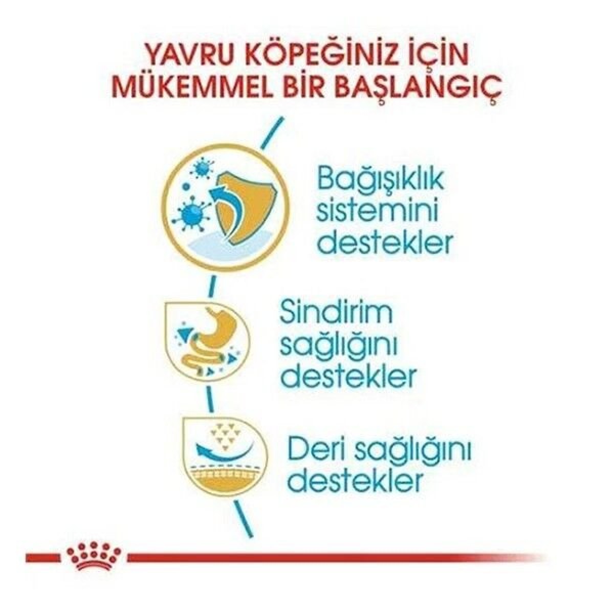 Royal Canin French Bulldog Junior Yavru Köpek Maması 3 Kg