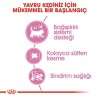 Royal Canin Mother Babycat Anne ve Yavru Kedi Maması 2 Kg