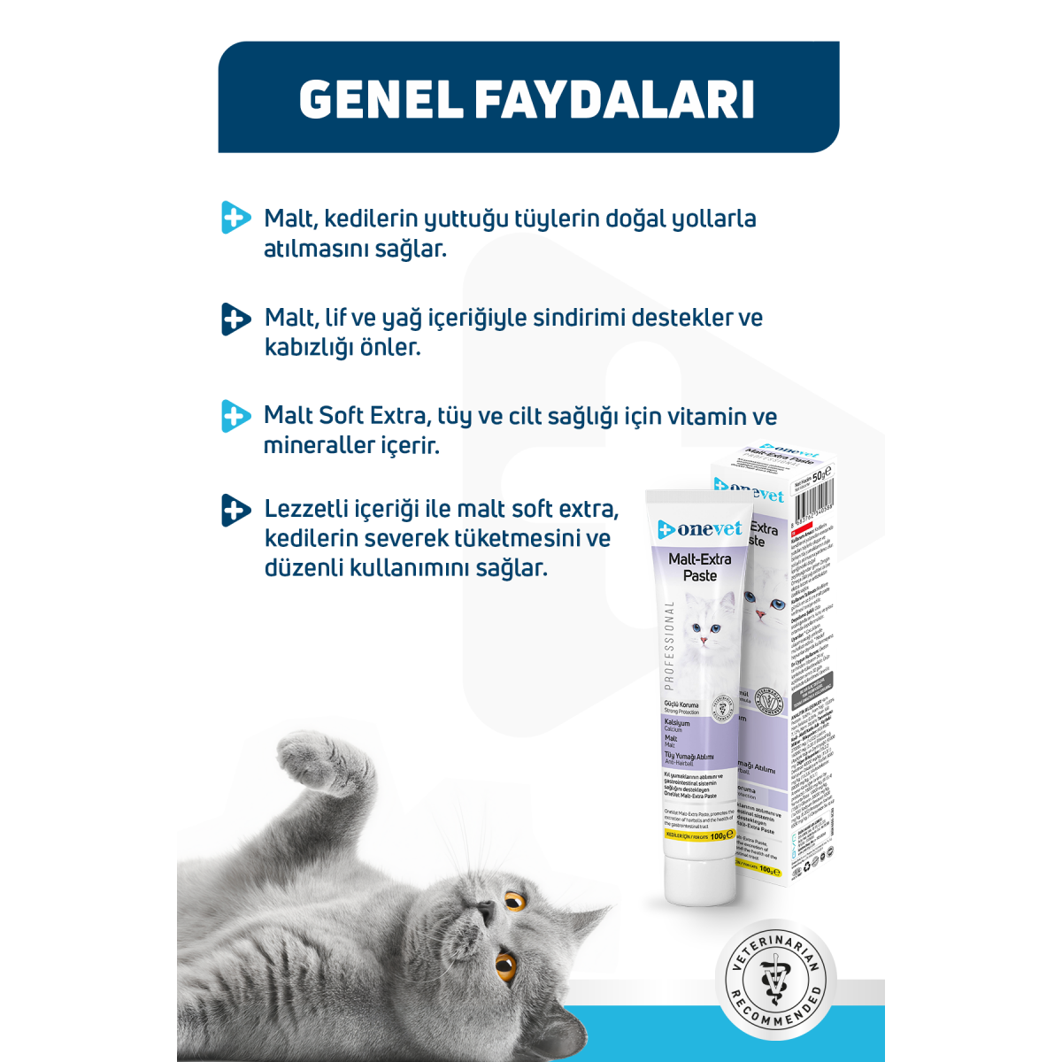 OneVet Malt Extra Paste Tüy Yumağı Önleyici Kedi Maltı 100 Gr