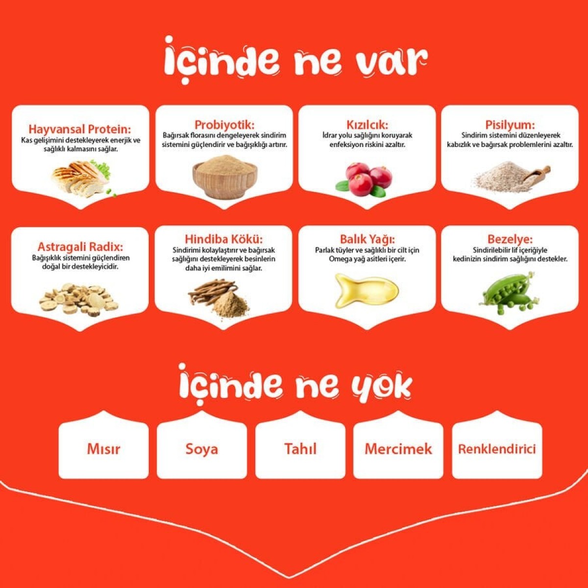 Wanpy Tavuklu Tahılsız Yetişkin Kedi Maması 1.5 Kg