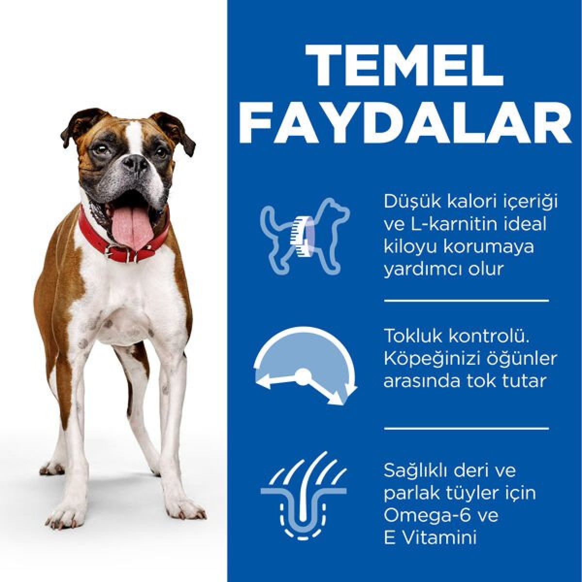 Hills Adult Light Medium Tavuklu Yetişkin Köpek Maması 2.5 Kg