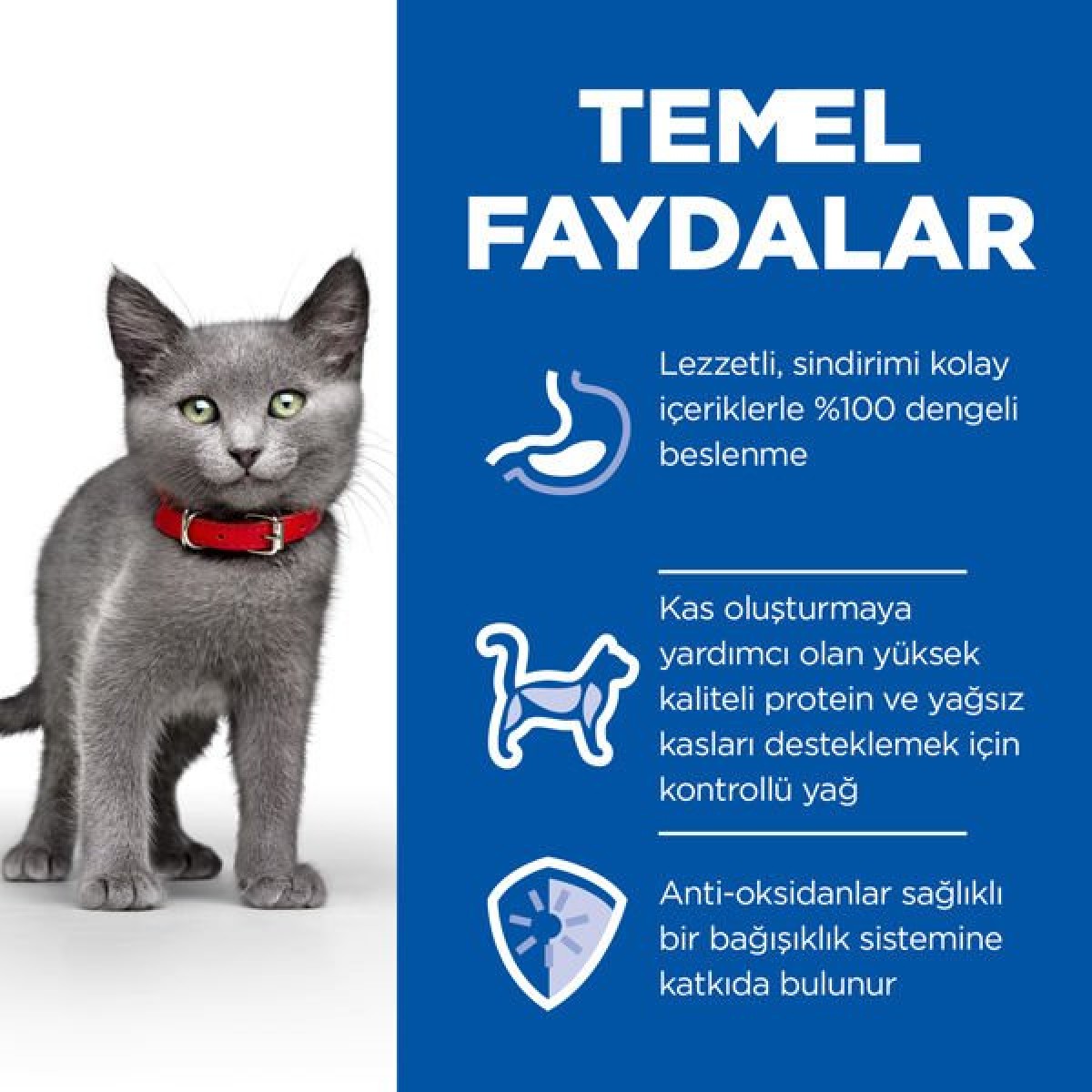 Hills Sterilised Kitten Tavuklu Kısırlaştırılmış Yavru Kedi Maması 1.5 Kg