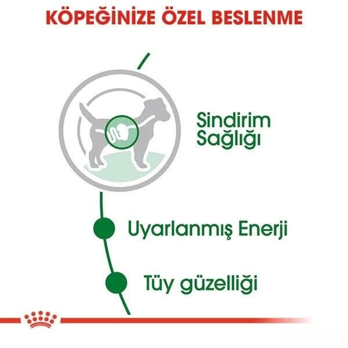 Royal Canin Adult Mini Gravy Pouch Köpek Konserve Maması 1 Adet 85 Gr