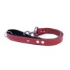 Doggie Konfor Deri Köpek Gezdirme Tasması Medium Kırmızı 3x100 Cm