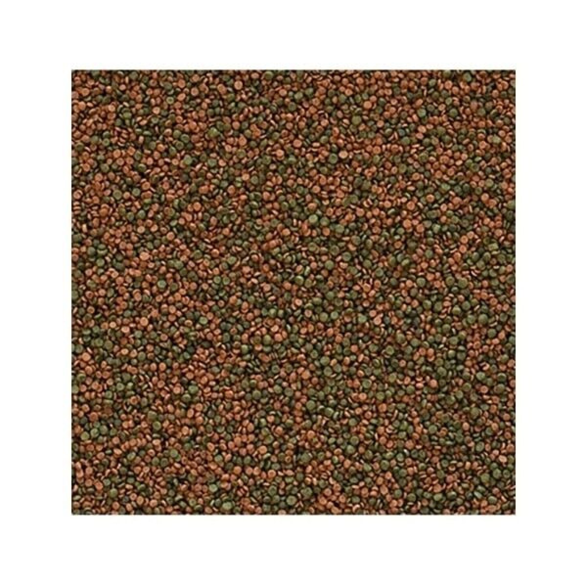 Tropical Cichlid Gran Cichlid Balıkları için Renklendirici Granül Balık Yemi 10 Lt 5.5 Kg