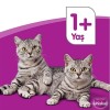 Whiskas Tavuklu ve Sebzeli Yetişkin Kedi Maması 300 Gr