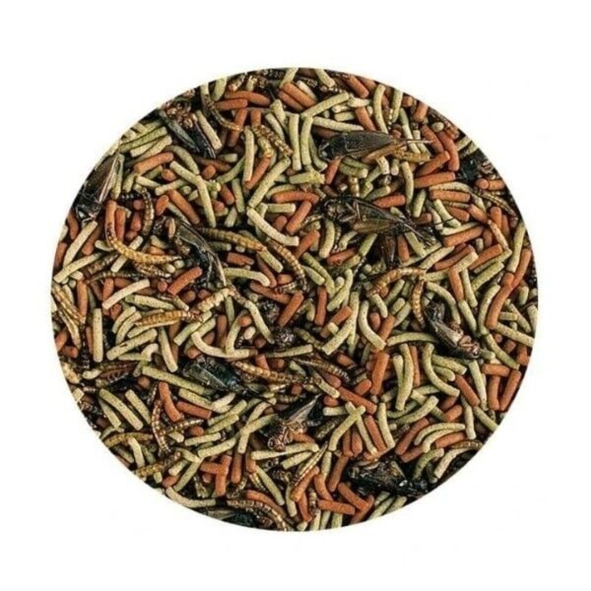 Tropical Reptiles Carnivore Soft Etobur ve Omnivor Sürüngenler için Yem 1000 Ml 260 Gr