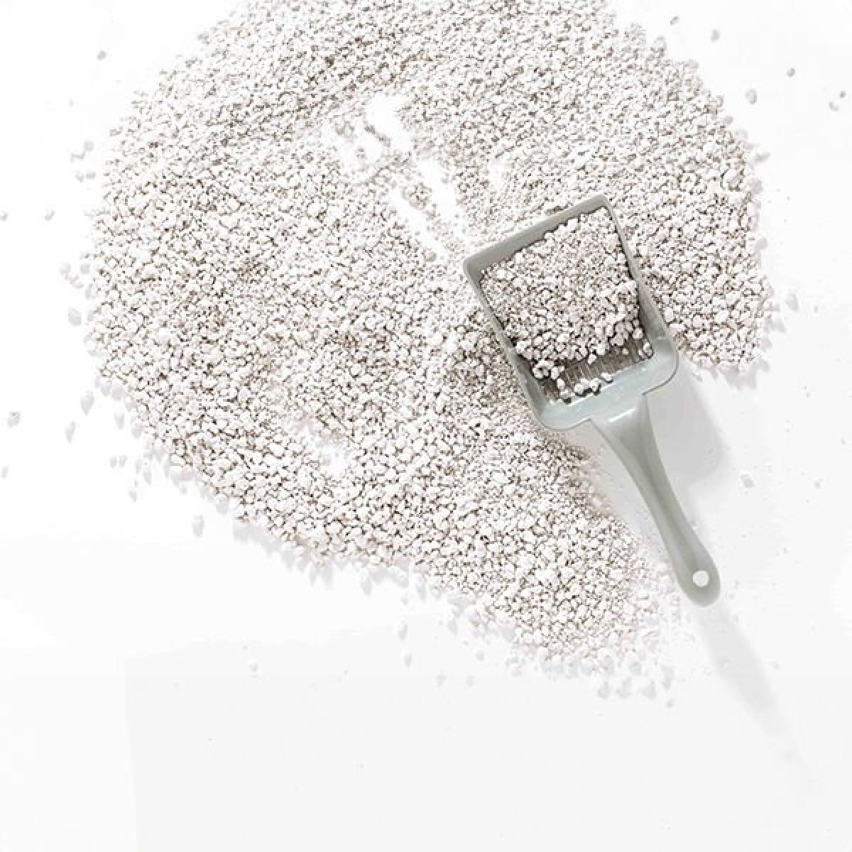 Proline Bebek Pudralı Topaklanan Bentonit Kedi Kumu İnce 1 Adet 10 Lt