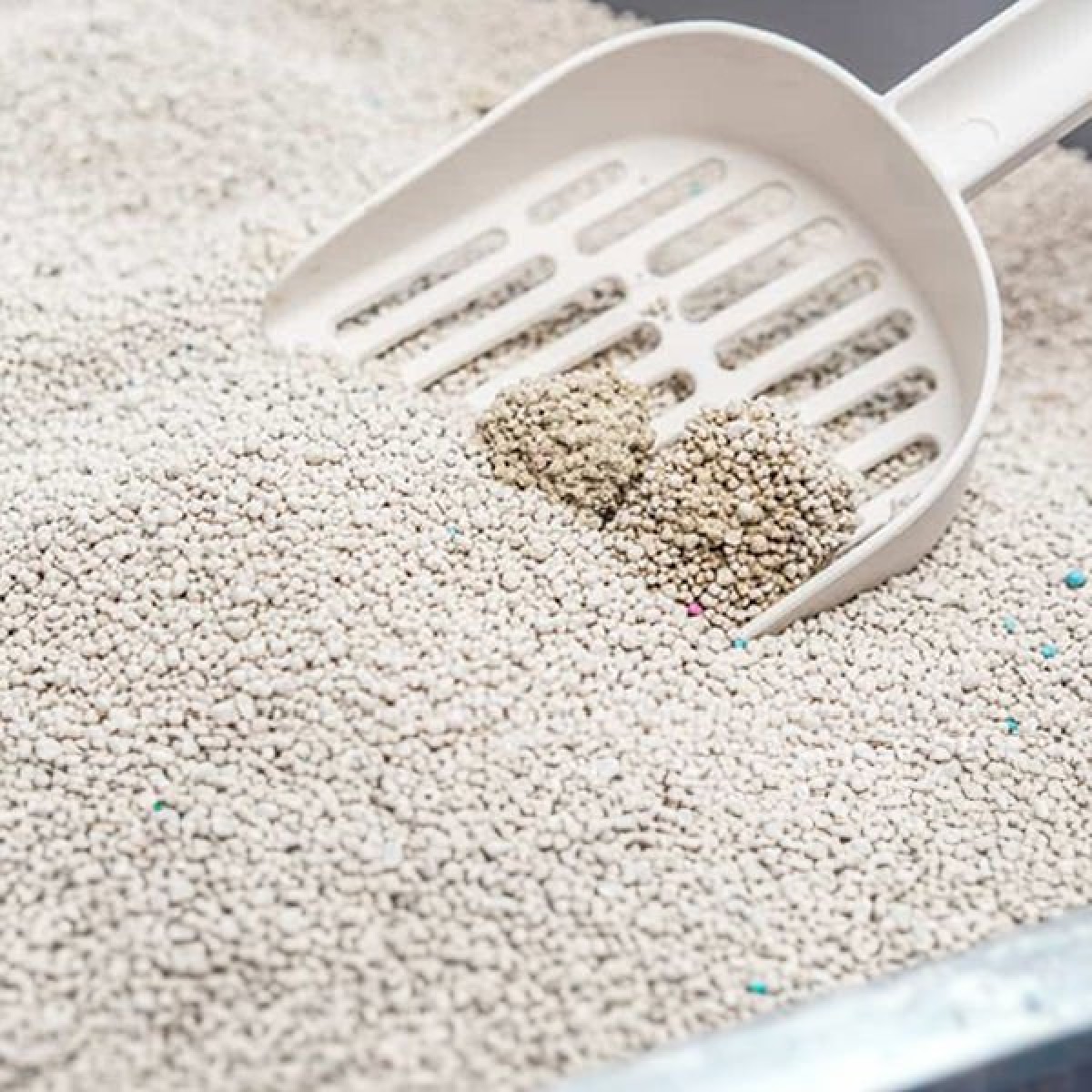 Proline Marsilya Sabun Kokulu Topaklanan Bentonit Kedi Kumu 1 Adet 20 Lt