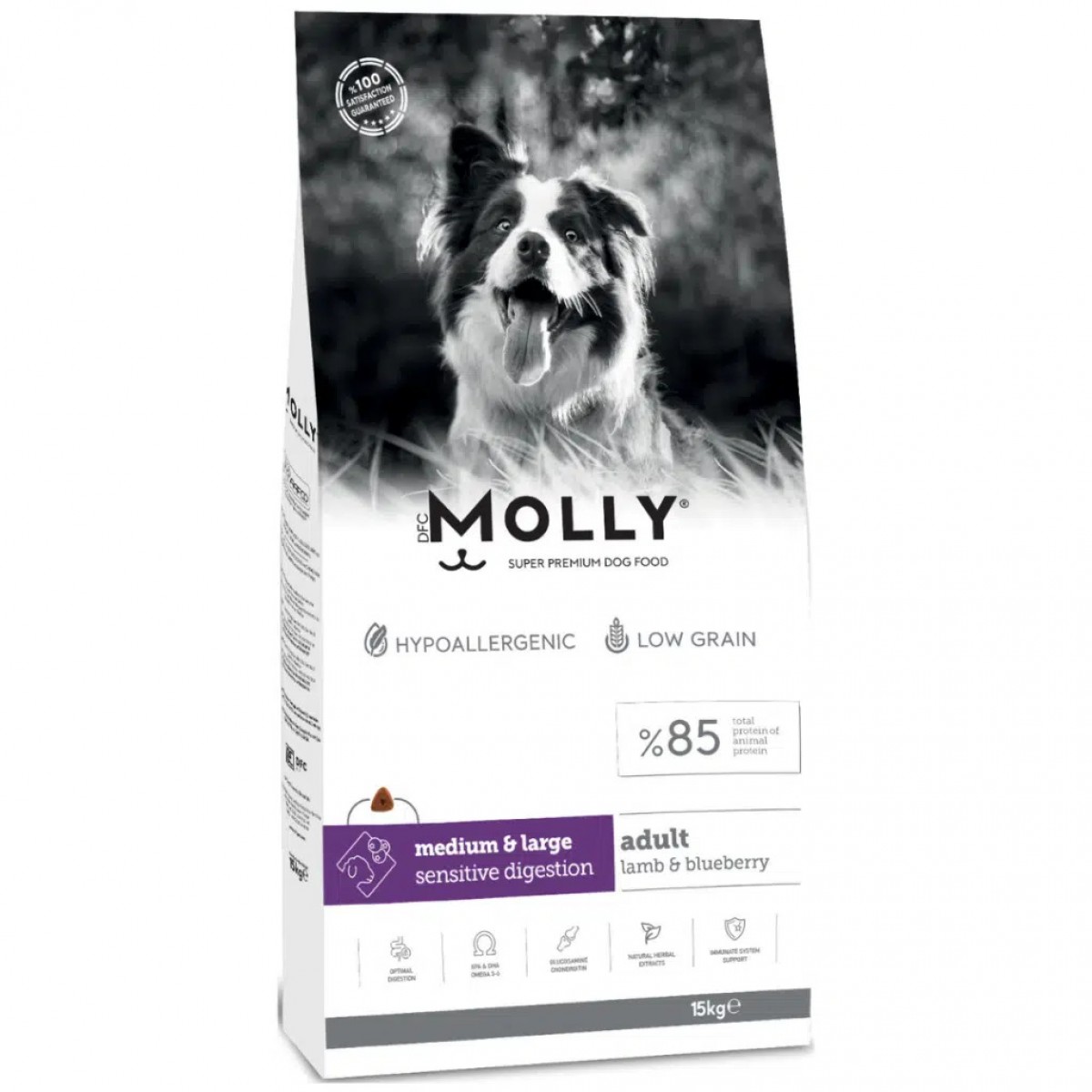 Molly Medium Adult Kuzu Etli & Yaban Mersinli Orta ve Büyük Irk Yetişkin Köpek Maması 15 Kg